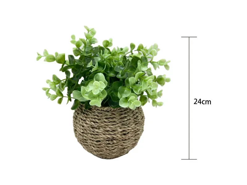 GTIN-6974221244380-03