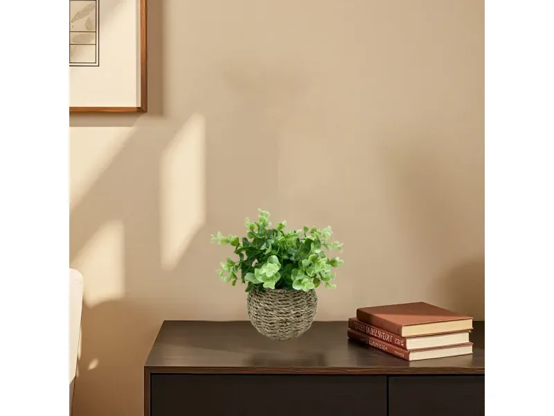 GTIN-6974221244380-04