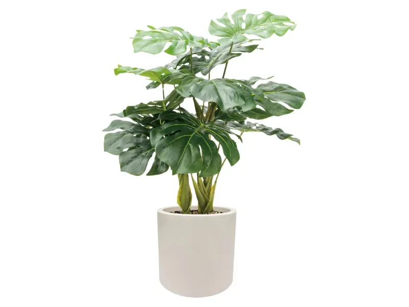 GTIN-6974221244465-01