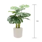 GTIN-6974221244465-04