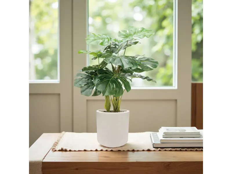 GTIN-6974221244465-05