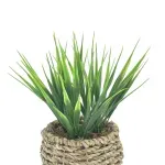 GTIN-6974221244366-02