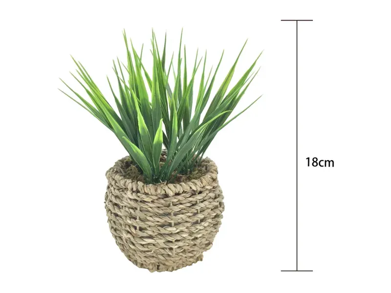 GTIN-6974221244366-03