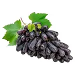 GTIN-0000000071666-01