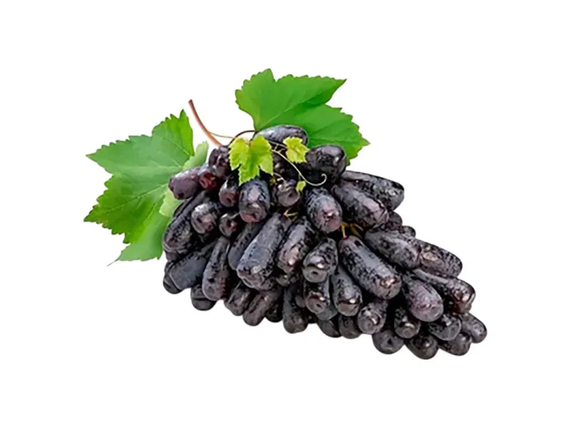 GTIN-0000000071666-01