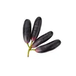 GTIN-0000000071666-02