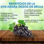 GTIN-0000000071666-03