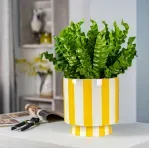 GTIN-6952397406115-06