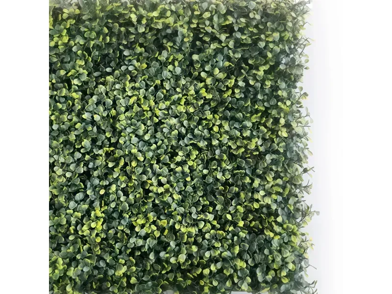 GTIN-6974221247343-02