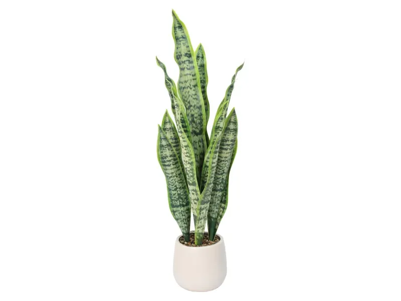 GTIN-6974221247527-01