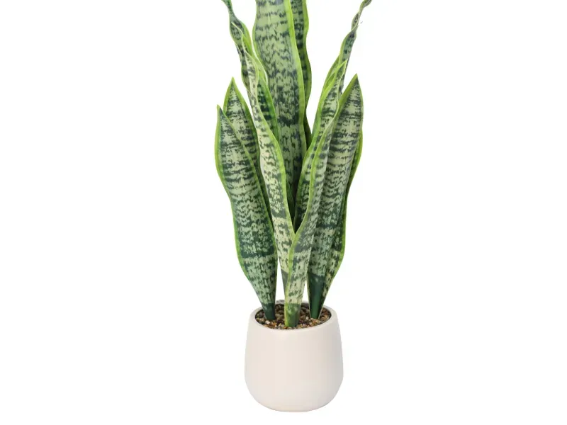 GTIN-6974221247527-02