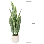 GTIN-6974221247527-04