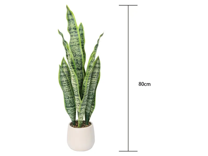 GTIN-6974221247527-04