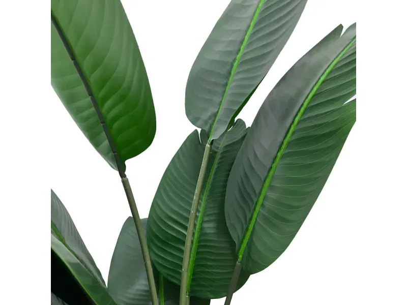 GTIN-6974221246636-02