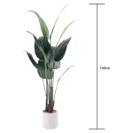 GTIN-6974221246636-04