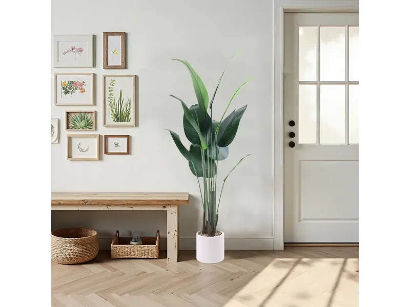 GTIN-6974221246636-05