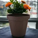 GTIN-7488501750694-03