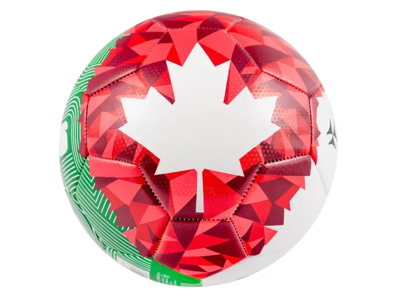 GTIN-7441025957437-12