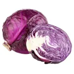 GTIN-0000000045544-01