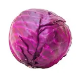 GTIN-0000000045544-02