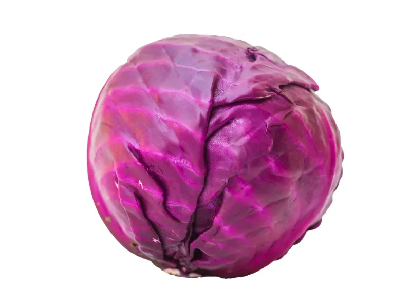 GTIN-0000000045544-02