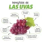 GTIN-0000000046367-02