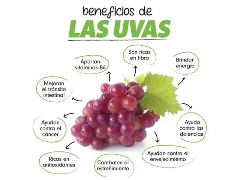 GTIN-0000000046367-02