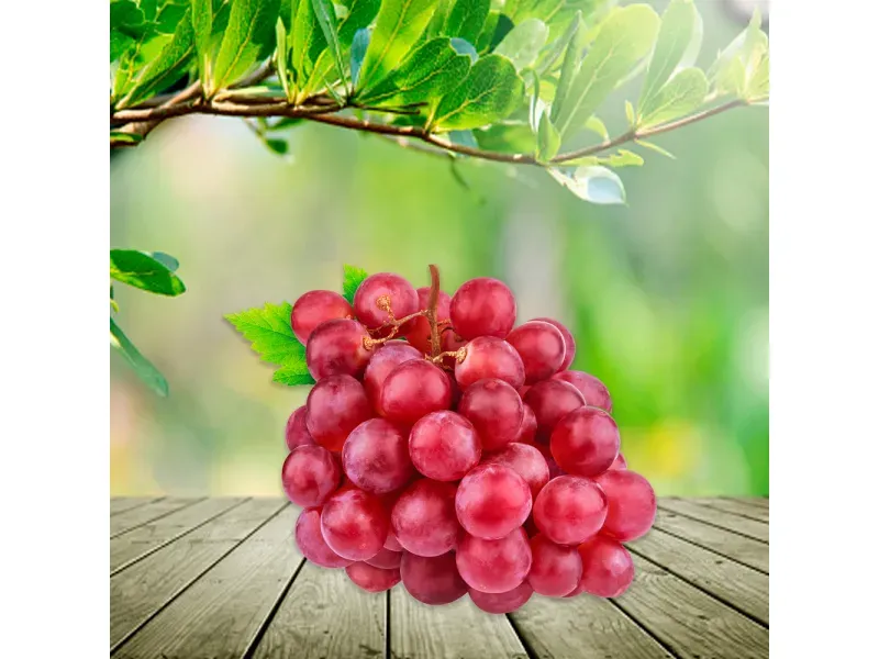 GTIN-0000000046367-03