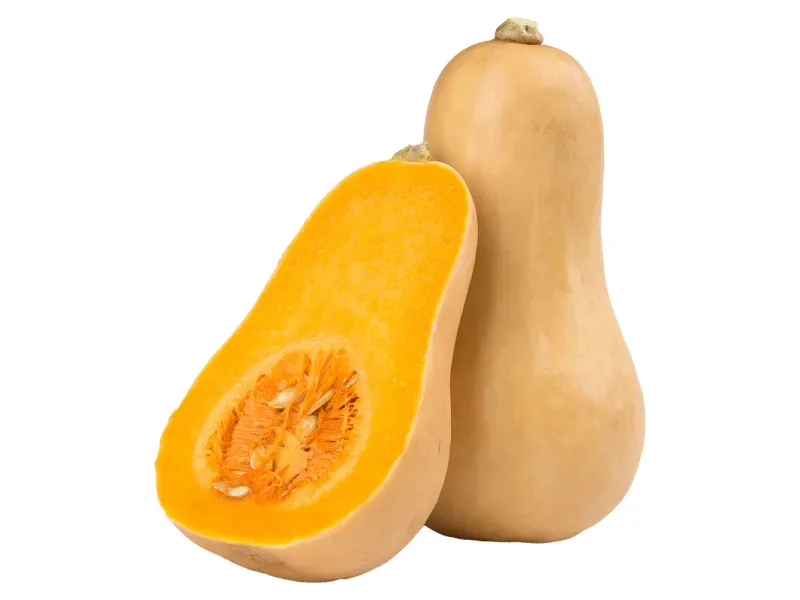 GTIN-0000000047593-01