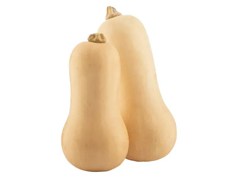 GTIN-0000000047593-02