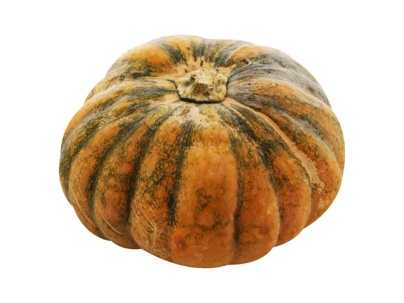 GTIN-0000000047890-02