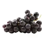 GTIN-0000000073738-01