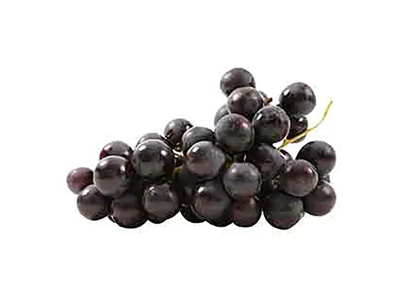 GTIN-0000000073738-01