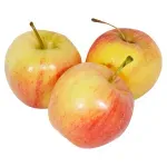 GTIN-0000000030724-02