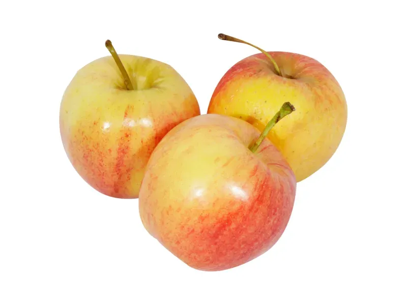 GTIN-0000000030724-02