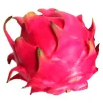 GTIN-0000000030403-02