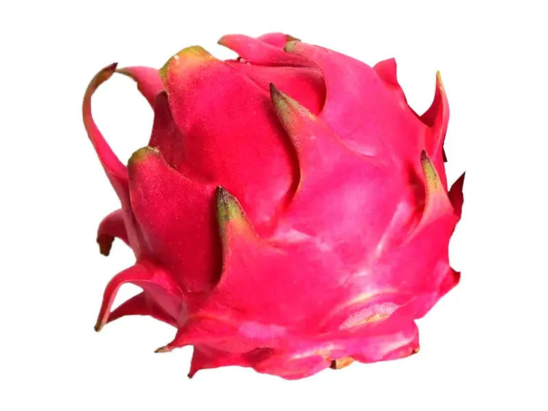 GTIN-0000000030403-02