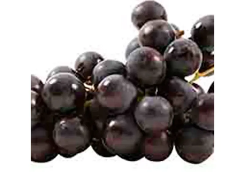 GTIN-0000000073738-02