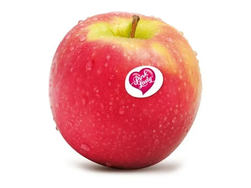 GTIN-0000000030724-03