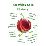 GTIN-0000000030403-03