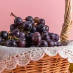 GTIN-0000000073738-04