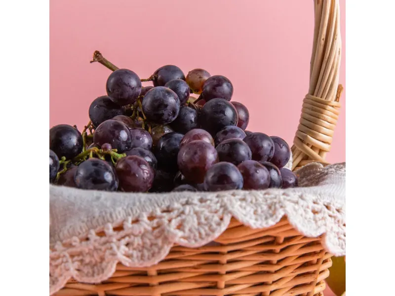 GTIN-0000000073738-04