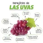 GTIN-0000000075909-03