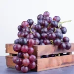 GTIN-0000000075909-04