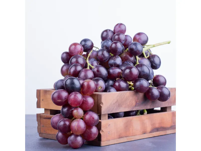 GTIN-0000000075909-04