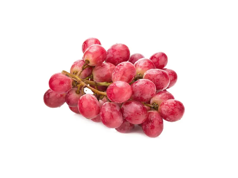 GTIN-0000000040235-01