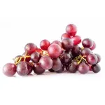 GTIN-0000000040235-02