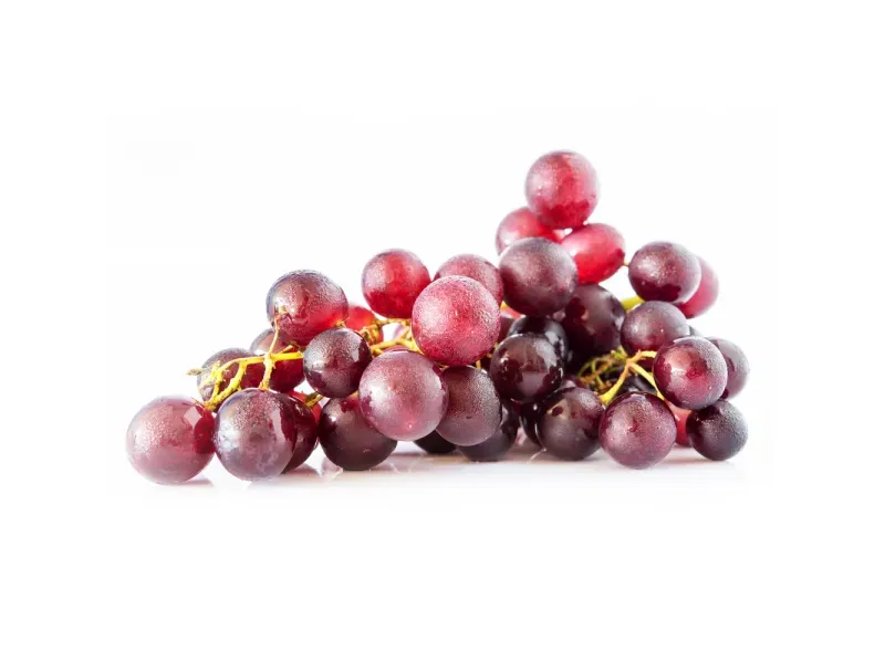 GTIN-0000000040235-02