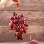 GTIN-0000000040235-03