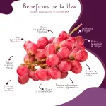 GTIN-0000000040235-04